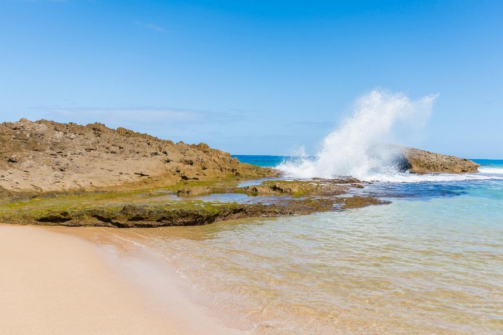 Apartament Ventana Al Atlantico At Arecibo 681 Ocean Drive Islote Zewnętrze zdjęcie