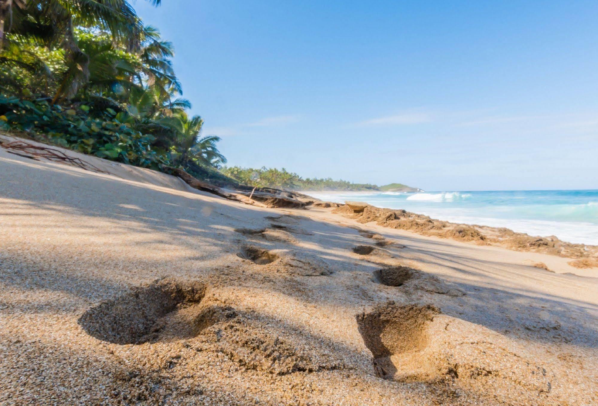 Apartament Ventana Al Atlantico At Arecibo 681 Ocean Drive Islote Zewnętrze zdjęcie